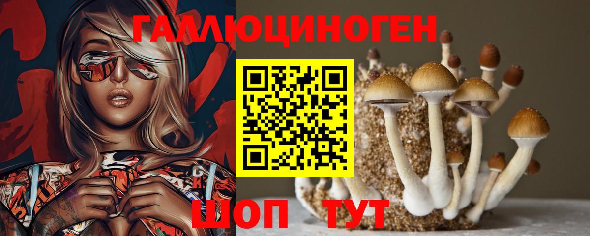 Псилоцибиновые грибы MAGIC MUSHROOMS  Вход с VPN  Калач-на-Дону 