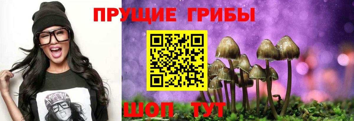Псилоцибиновые грибы мухоморы Калач-на-Дону