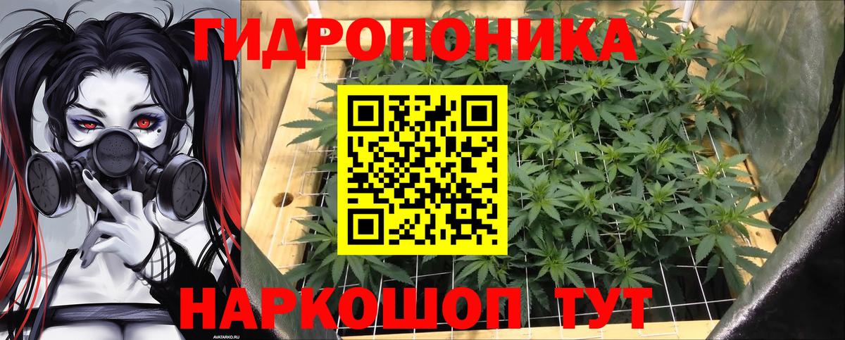 Бошки марихуана VHQ Калач-на-Дону
